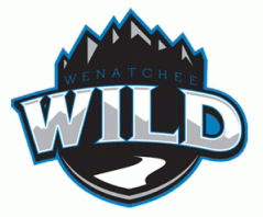wenatchee wild 2008-pres secondary logo iron on transfers for T-shirts